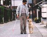 Chó dẫn đường – Bạn mới của người khiếm thị tại Hàn Quốc