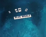 Sự thật hãi hùng về trò chơi tử thần 'Thử thách cá voi xanh'