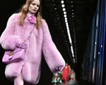 Gucci nói 'không' với chất liệu lông thú từ năm 2018