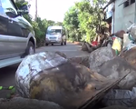 Đồng Nai: Dân dùng đá chặn xe né trạm thu phí cày nát đường dân sinh