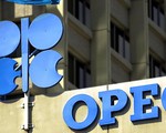 OPEC chưa nhất trí về việc cắt giảm sản lượng dầu