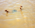 Bình Định: Gia tăng tai nạn đuối nước ở trẻ em