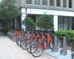 Dịch vụ cho thuê xe đạp phổ biến tại Mỹ