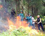 Diễn tập chống cháy rừng tại Bắc Giang
