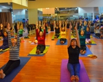Thói quen tập Yoga mỗi ngày mang lại lợi ích cho sức khỏe