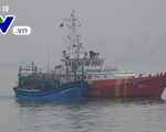 Đà Nẵng: Cứu nạn 7 thuyền viên và tàu cá bị hỏng máy, thả trôi trên biển