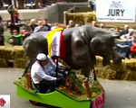 Độc đáo vô địch đua xe tự chế tại Bỉ