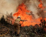 Cháy rừng ở châu Âu diễn biến phức tạp