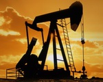 Giá dầu có thể về mốc 30 USD/thùng nếu OPEC không cẩn trọng