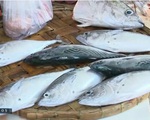 Thị trường hải sản Phú Yên sôi động trở lại sau Tết