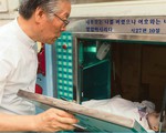 Lồng ấp cho những đứa trẻ bị bỏ rơi tại Hàn Quốc