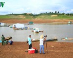 Kon Tum: Khoanh nợ cho các hộ có cá chết tại lồng hồ thủy điện