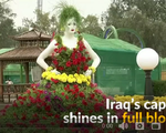 Rực rỡ lễ hội hoa quốc tế ở Iraq