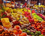 7 tháng người Việt chi 15.000 tỷ đồng nhập khẩu hoa quả