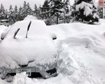 Bão tuyết gây khó khăn cho giao thông tại Nhật Bản