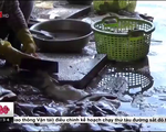 Vũng Tàu: Kinh hoàng công nghệ chế biến cá khô ở làng chài Đất Đỏ