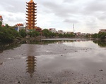 Hồ Dư Hàng ô nhiễm nặng, người Hải Phòng chịu hôi thối quanh năm
