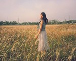 3 điểm chụp ảnh với cỏ lau đẹp mê hồn ở Hà Nội
