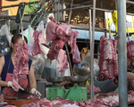 Thịt gia súc, gia cầm nhiễm E.coli: “Chỉ là kết quả ban đầu, mang tính chất chỉ điểm về vệ sinh trong giết mổ”