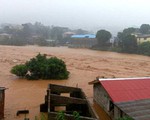 Hàng nghìn người mất tích sau thảm họa lở bùn đất ở Sierra Leone