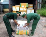Quảng Ninh: Bắt giữ gần 1 tấn cá khoai không rõ nguồn gốc