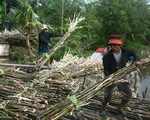Nâng cao khả năng cạnh tranh cho ngành mía đường Việt Nam