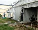 Phú Yên: 5 công nhân tử vong khi xuống hầm chứa mắm