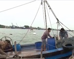Ngư dân Hà Tĩnh vươn khơi đánh bắt vụ cá Nam