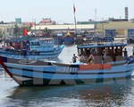 Hàng nghìn ngư dân miền Trung đón Tết trên biển