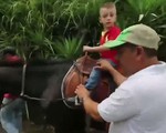 Cưỡi ngựa - Liệu pháp trị bệnh cho trẻ khuyết tật