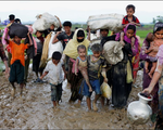 Myanmar kêu gọi hỗ trợ tái thiết bang Rakhine