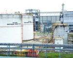 Tái khởi động nhà máy sản xuất ethanol Bình Phước và Dung Quất