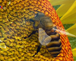 Phát hiện dư lượng thuốc trừ sâu trong mật ong