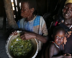 LHQ báo động tình trạng thiếu lương thực cho người tị nạn ở châu Phi