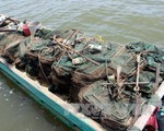 Quảng Ninh: Thu giữ, tiêu hủy các công cụ khai thác thủy sản trái phép