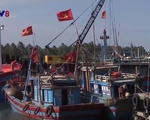 Quảng Nam siết chặt quản lý khai thác hải sản