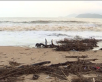 Rác tràn ngập bãi biển Nha Trang