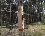 Đồng Nai chạy thử nghiệm hàng rào điện từ bảo vệ voi rừng