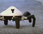 Hexa - Robot mô phỏng loài nhện