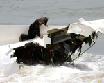 Phát hiện mảnh vỡ máy bay quân sự Pháp bị rơi ở Bờ Biển Ngà