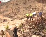 Làm rõ trách nhiệm trong vụ phá hơn 43 ha rừng ở An Lão, Bình Định