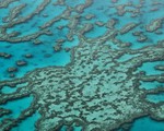 Rạn san hô Great Barrier Reef được định giá 56 tỷ USD