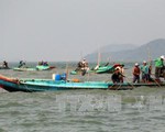 Ngư dân Kiên Giang bất an vì nạn cướp nghêu, sò