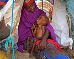 Hàng nghìn người phải sơ tán do hạn hán nghiêm trọng tại Somalia