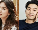 Song Hye Kyo thổ lộ muốn đóng cùng Gong Yoo