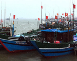Ninh Thuận triển khai phương án đưa tàu thuyền vào bờ tránh bão