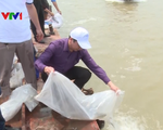 Hà Nội thả gần 1 tấn cá giống tái tạo nguồn lợi thủy sản sông Hồng
