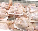 Xuất khẩu lô thịt gà đầu tiên sang Nhật Bản