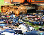 Bình Định: Tiêu hủy 32 xe máy độ chế chở gỗ lậu của lâm tặc