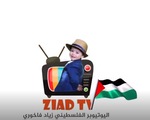 Bé 3 tuổi người Palestine trở thành ngôi sao mạng xã hội